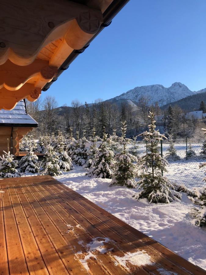Sniezna Dolina - Sobiczkowa Bor Luxury Chalets Косьцелісько Екстер'єр фото