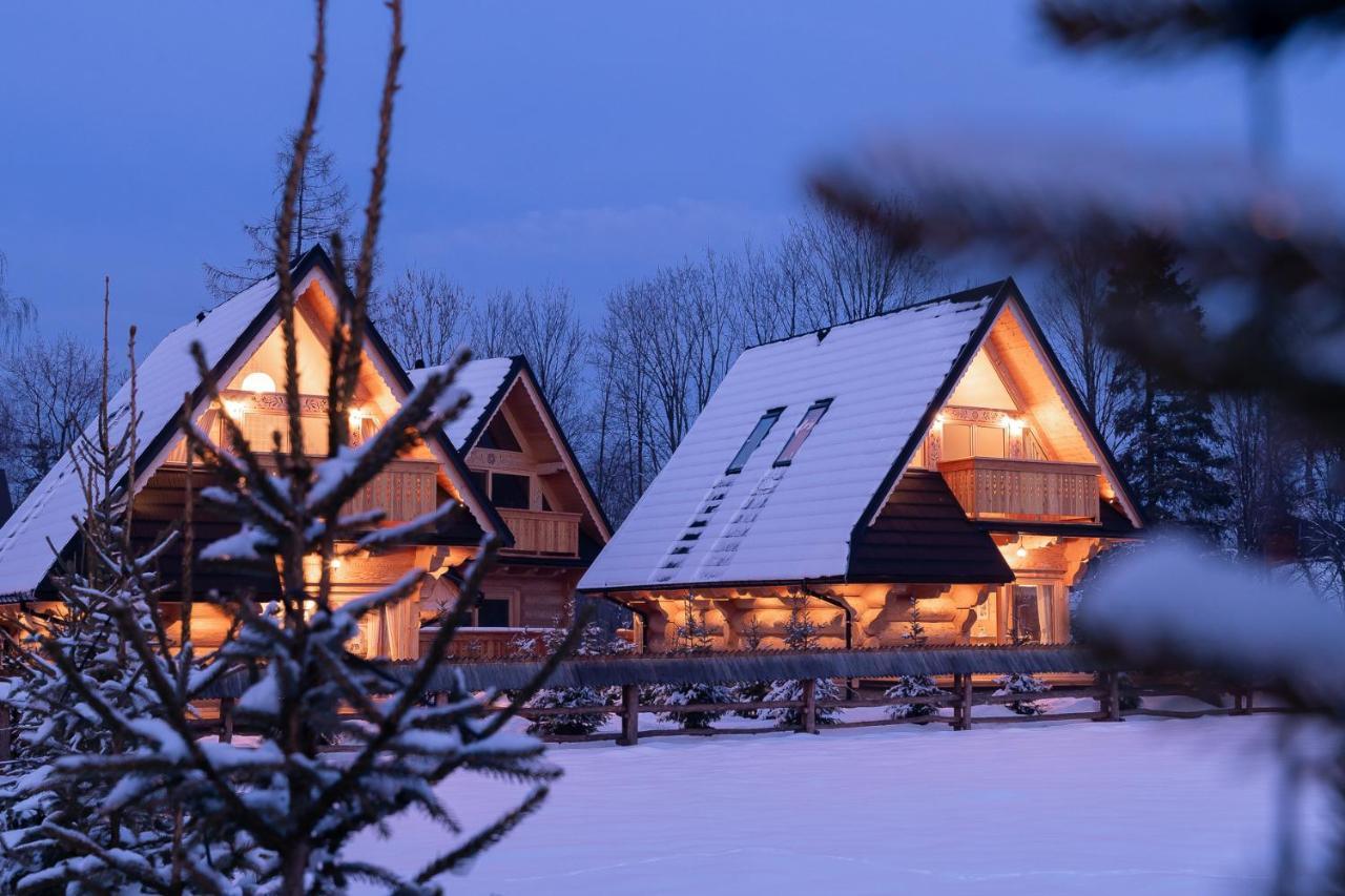 Sniezna Dolina - Sobiczkowa Bor Luxury Chalets Косьцелісько Екстер'єр фото