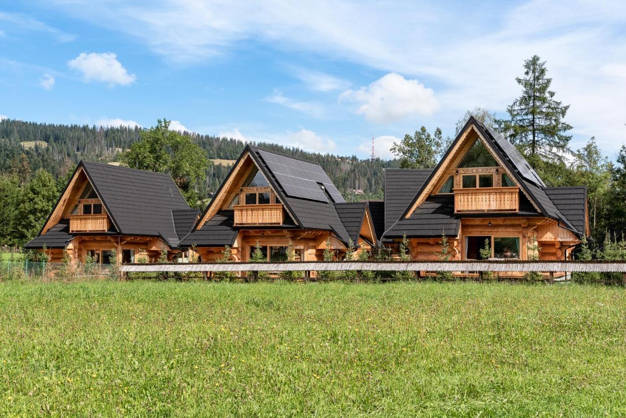 Sniezna Dolina - Sobiczkowa Bor Luxury Chalets Косьцелісько Екстер'єр фото