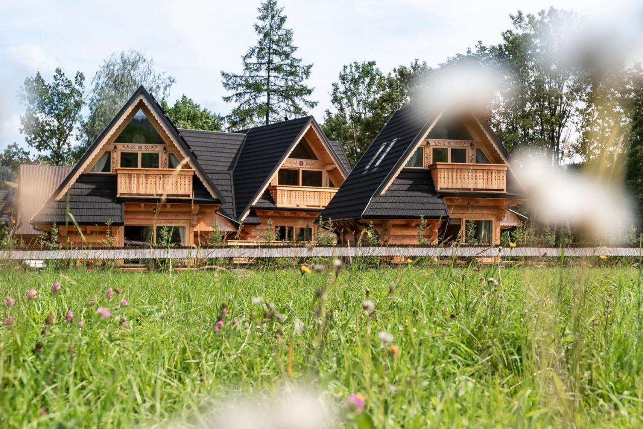 Sniezna Dolina - Sobiczkowa Bor Luxury Chalets Косьцелісько Екстер'єр фото