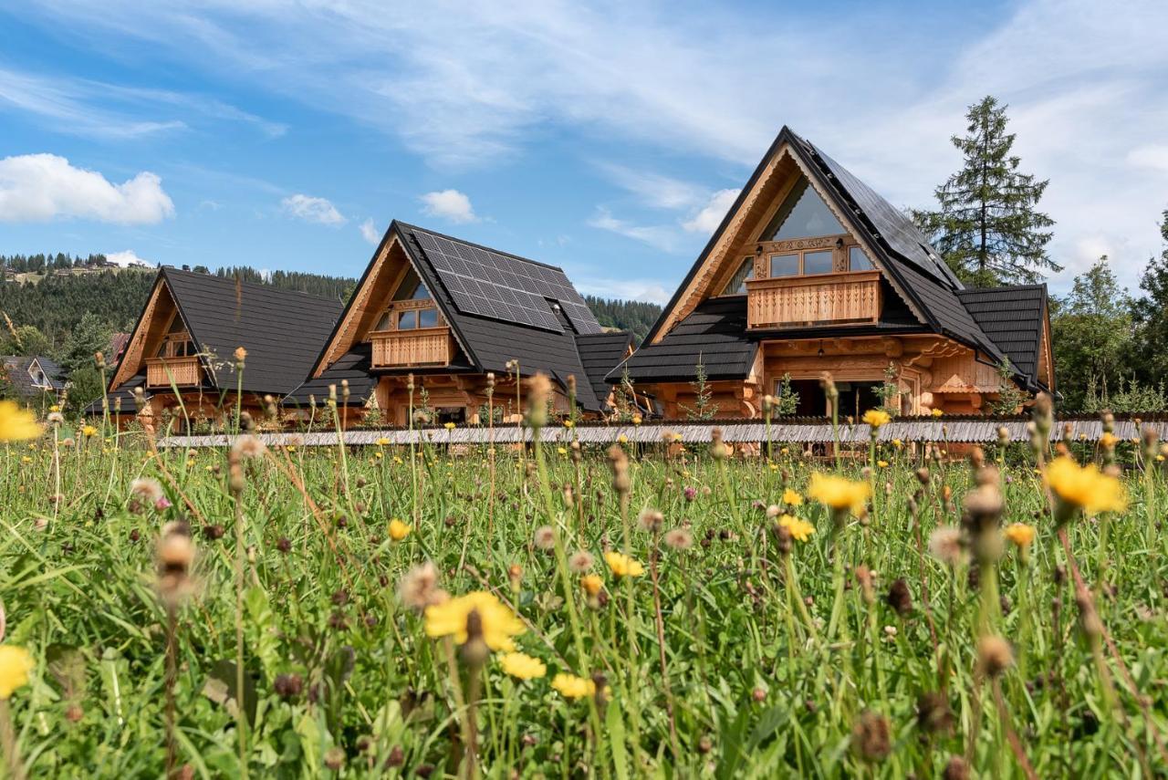 Sniezna Dolina - Sobiczkowa Bor Luxury Chalets Косьцелісько Екстер'єр фото